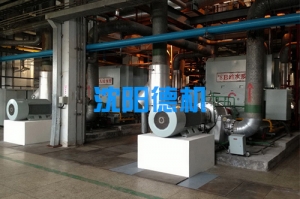 浙江臺州發電廠